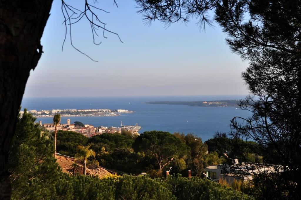 Cannes Beach And Festival Palais Ngoại thất bức ảnh